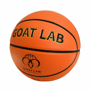 GOAT Lab Skyline basketball